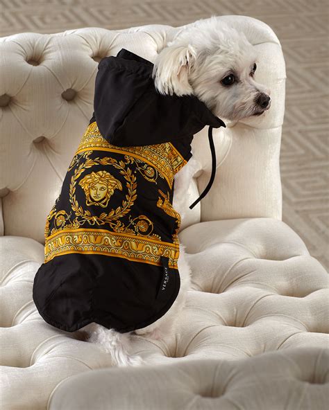 versace dogs|versace dog raincoat.